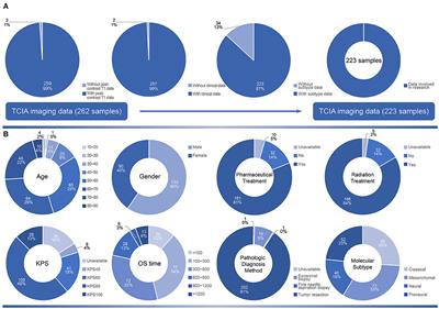 A Voxel-Based Radiographic Analysis Reveals the Biological Character of Proneural-Mesenchymal Transition in Glioblastoma